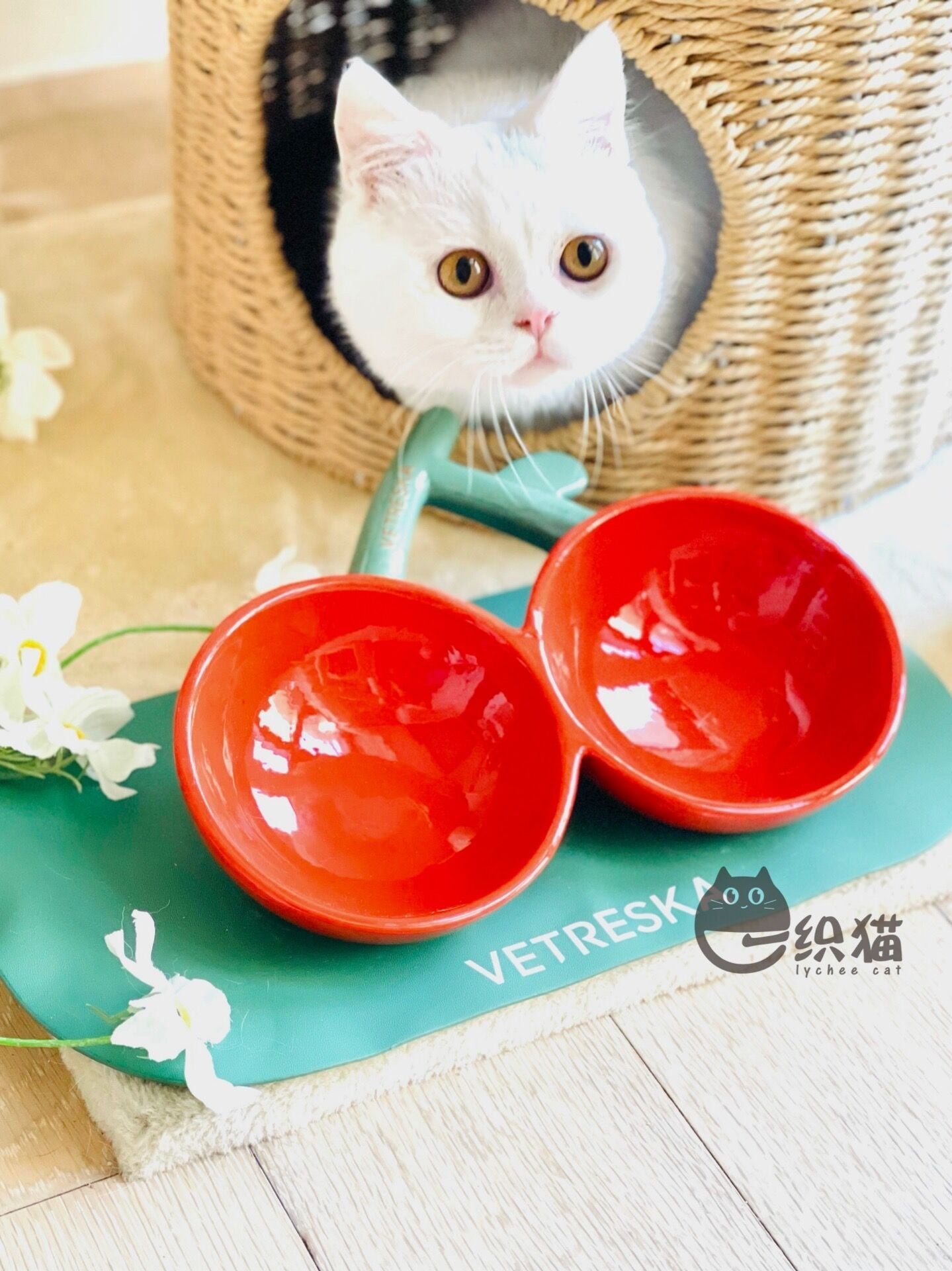さくらんぼ ご飯入れ 水入れ セット フードボウル 陶器 ボウル 猫 犬