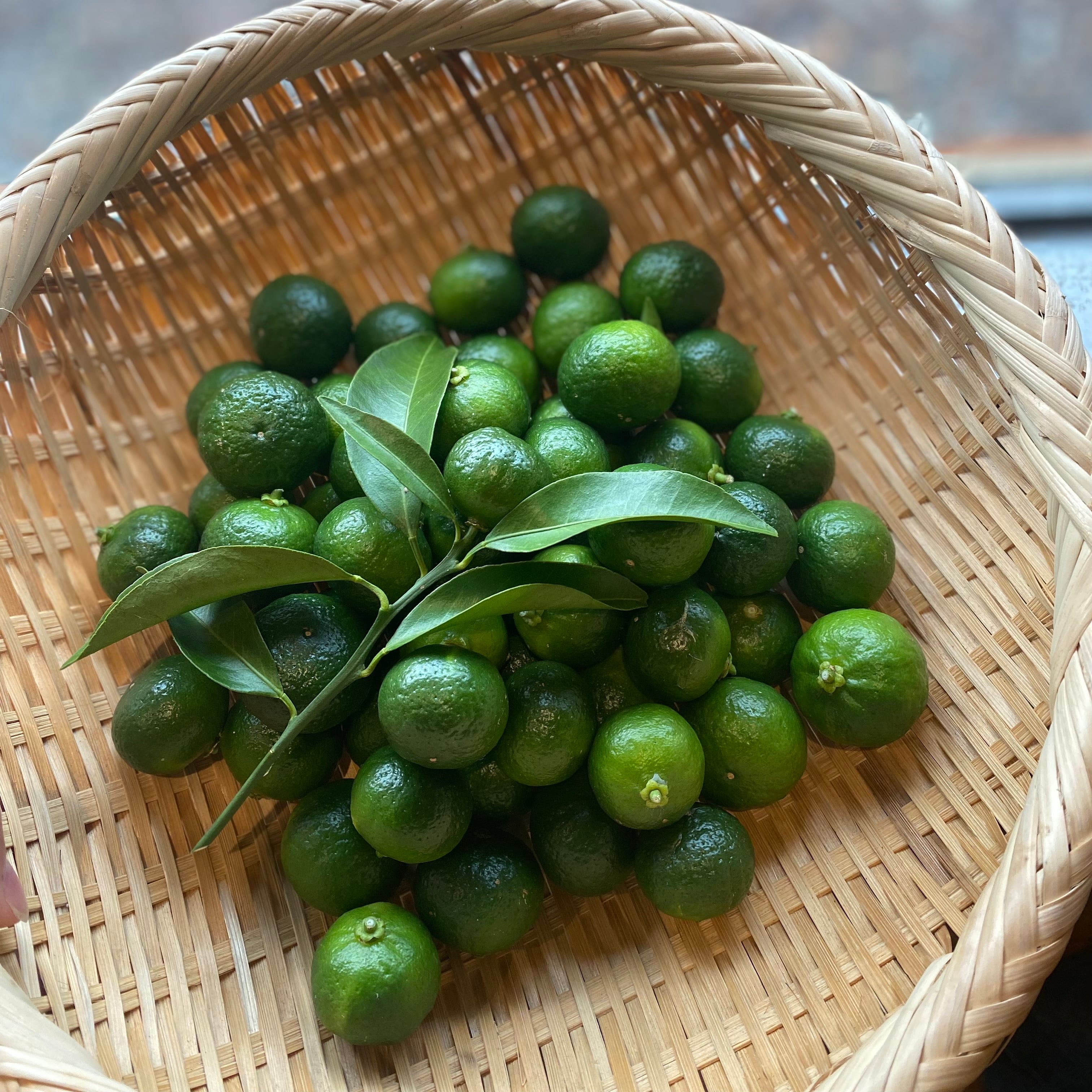 期間限定！自然栽培シークワーサー300g【むすひ飛鳥】 | THE MARKET