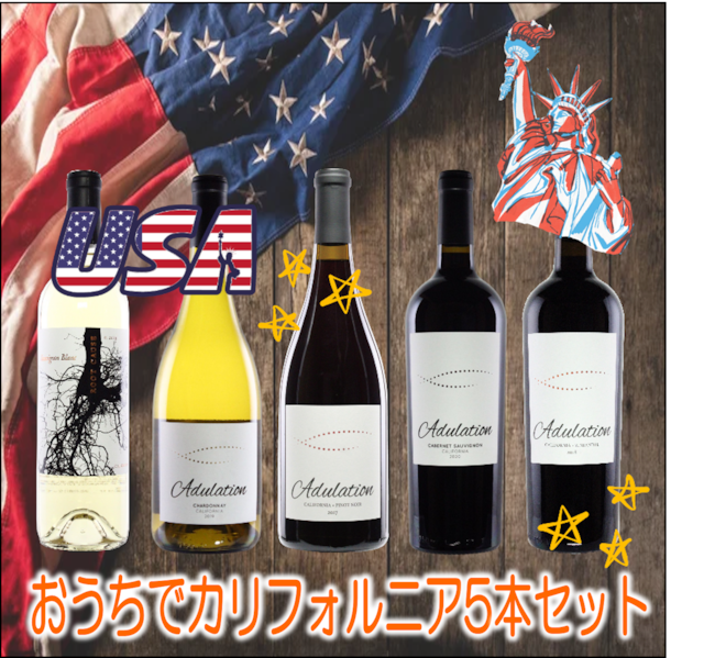 【ピノ好きさん大満足❣】世界のピノ・ノワール飲み比べ６本セット