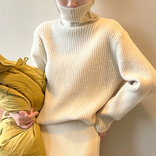rib high neck knit〚 0020 〛