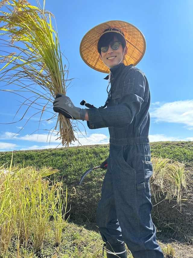 【令和5年産 新米5kg】気象予報士かたおかさんの 魚沼産こしひかり