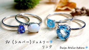 【SV925(シルバー)】リングにオーダー作成　[デザインNo,101]