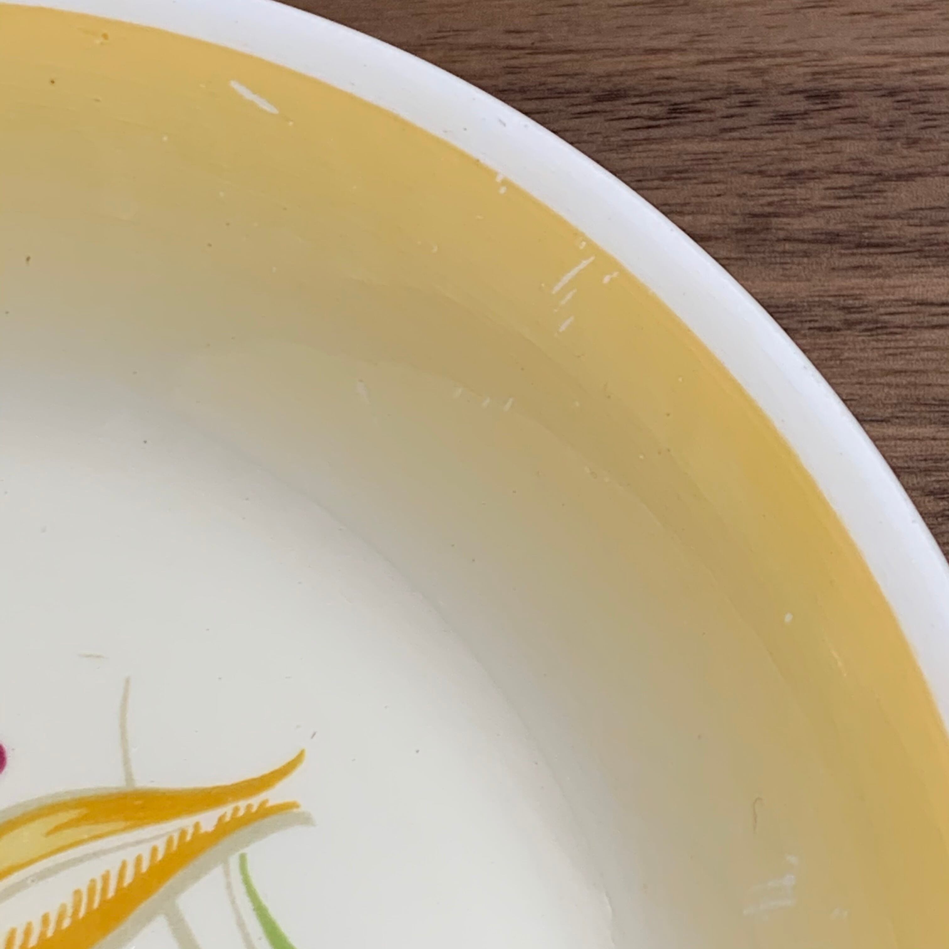 スージークーパー ノーズゲイ パスタ皿