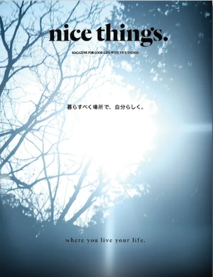 nice things. issue71