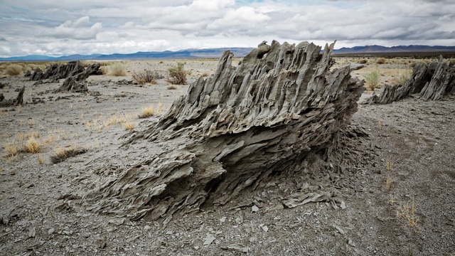 Traces of spring water #MonoLake