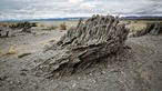 Traces of spring water #MonoLake thumbnail 1