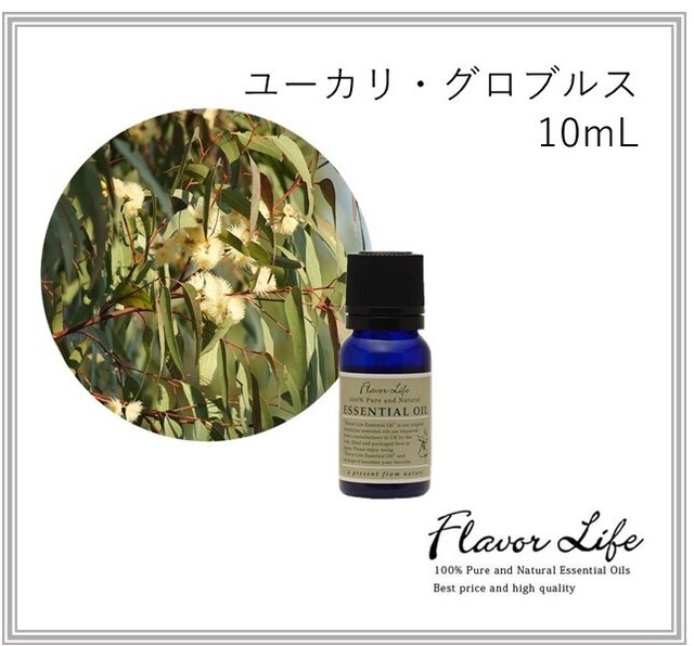 ユーカリ・グロブルス　10ml