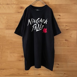 【PASSPORT】カナダ製 ナイアガラの滝 プリント Tシャツ NIAGARA FALLS メイプル L US古着