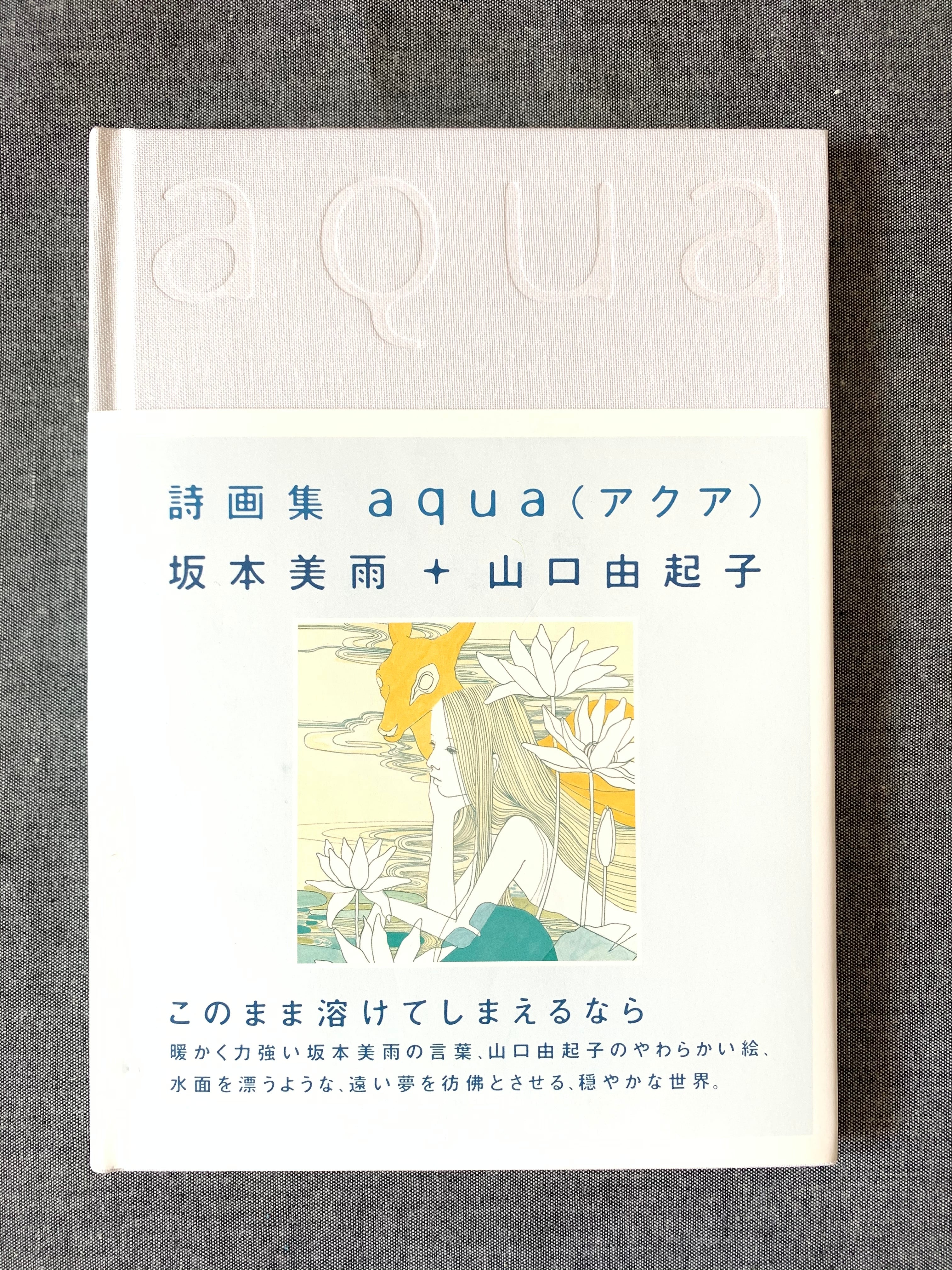 1d35275e10681eded81f860b82e045