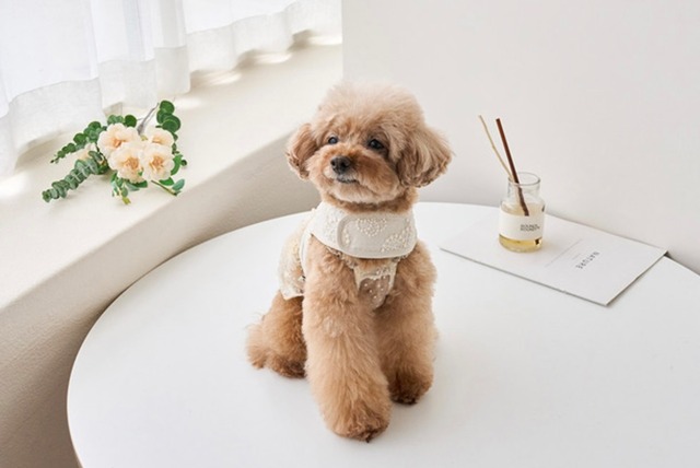 Camellia Linen Harness