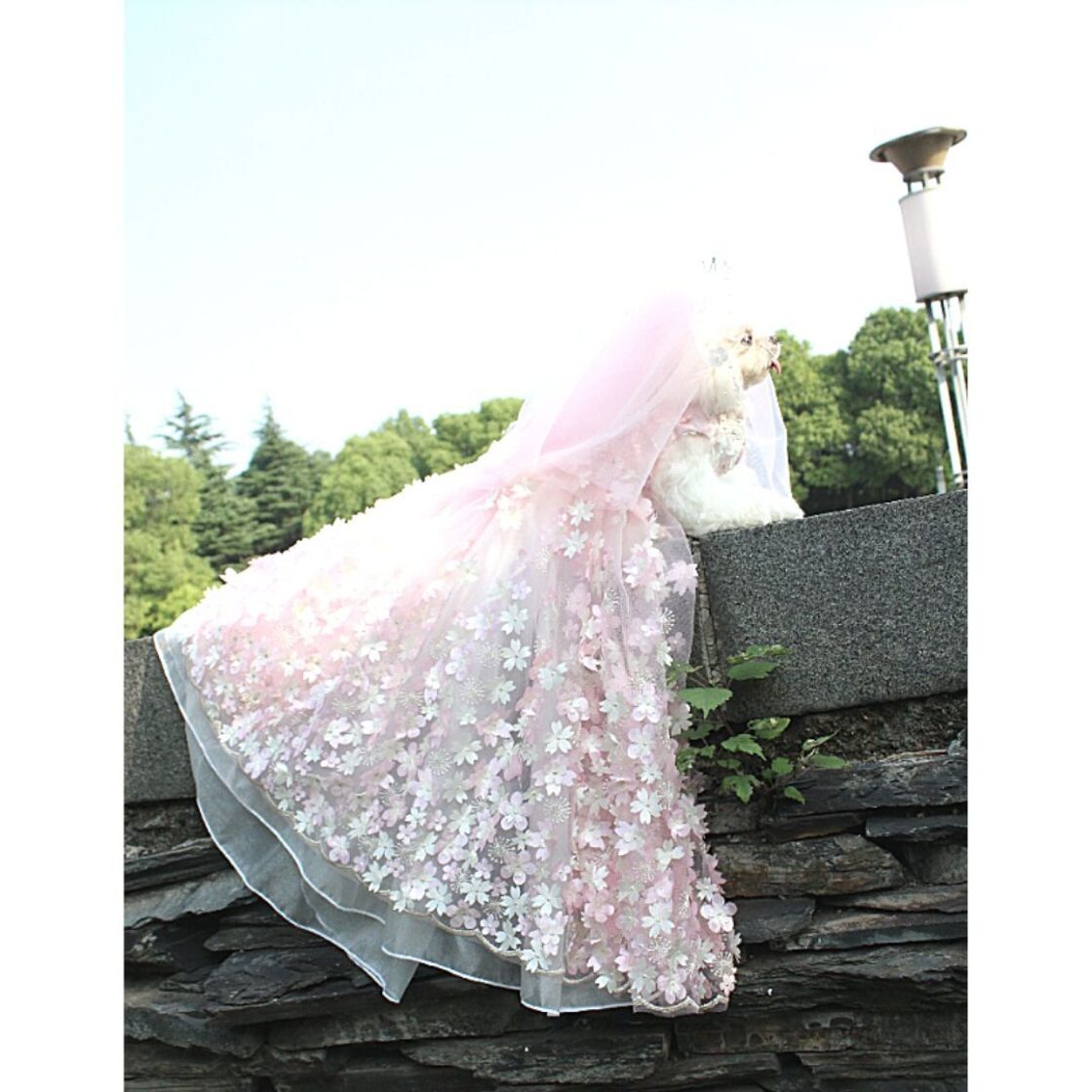 予約（海外ハンドメイド）【№B02783】桜モチーフ フライングテール