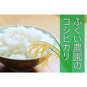 ふくい農園 おいしいお米 コシヒカリ 5kg 精米 高知県産 令和7年産 2025年産