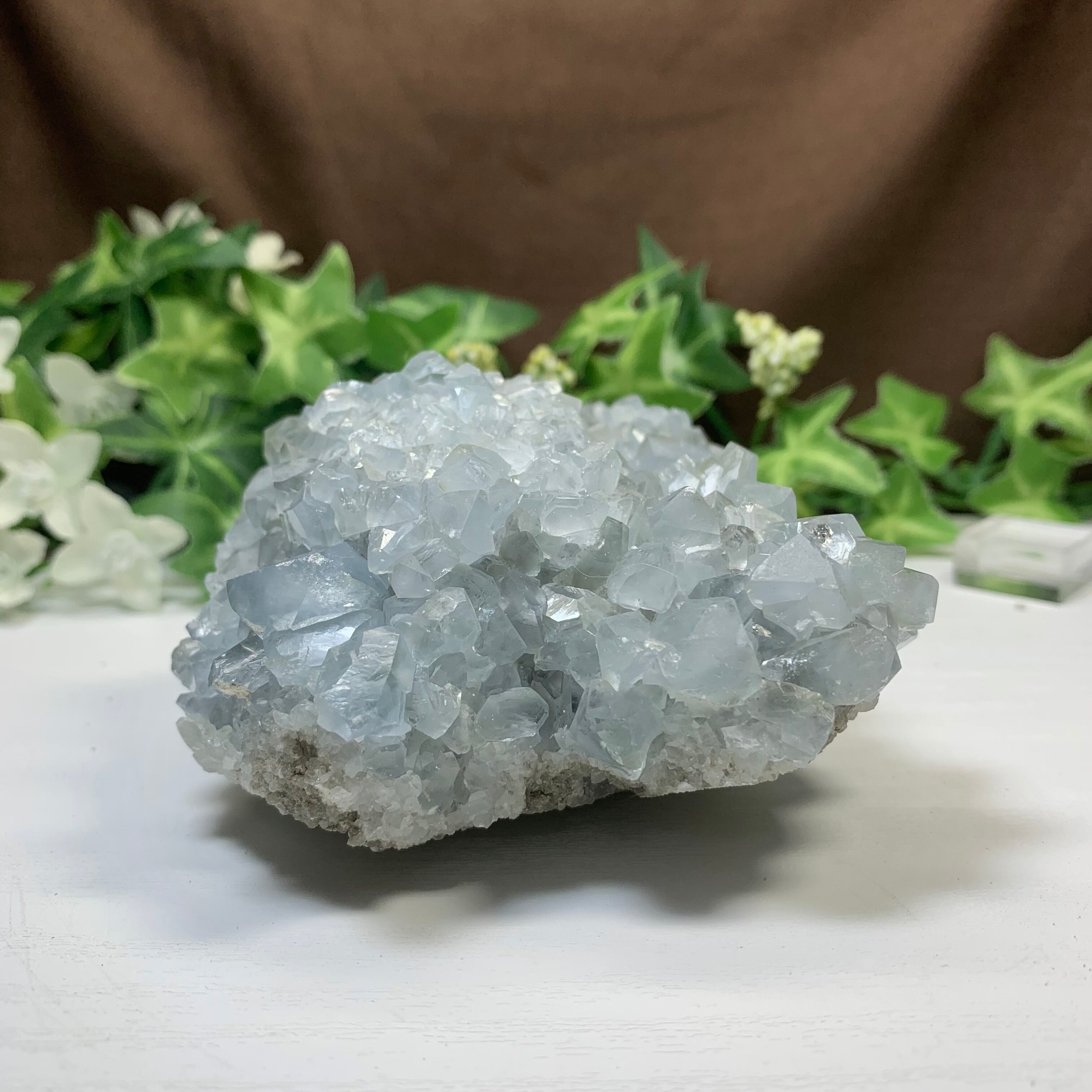 6.空色セレスタイトに住み着いているフローライトハリネズミさん