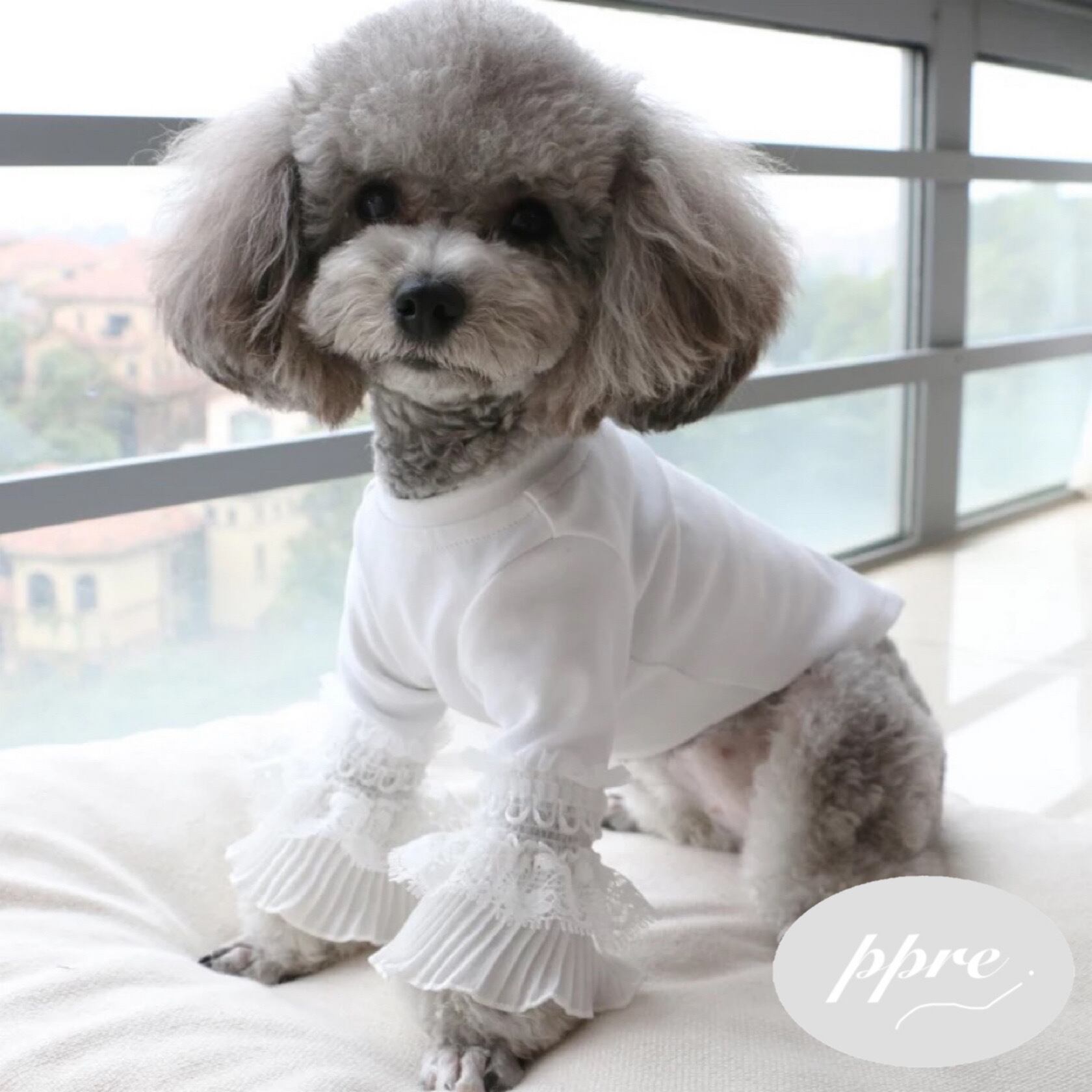 フリル レース ブラウス ドッグウェア 犬服 | ppre®︎（ププレ）犬服