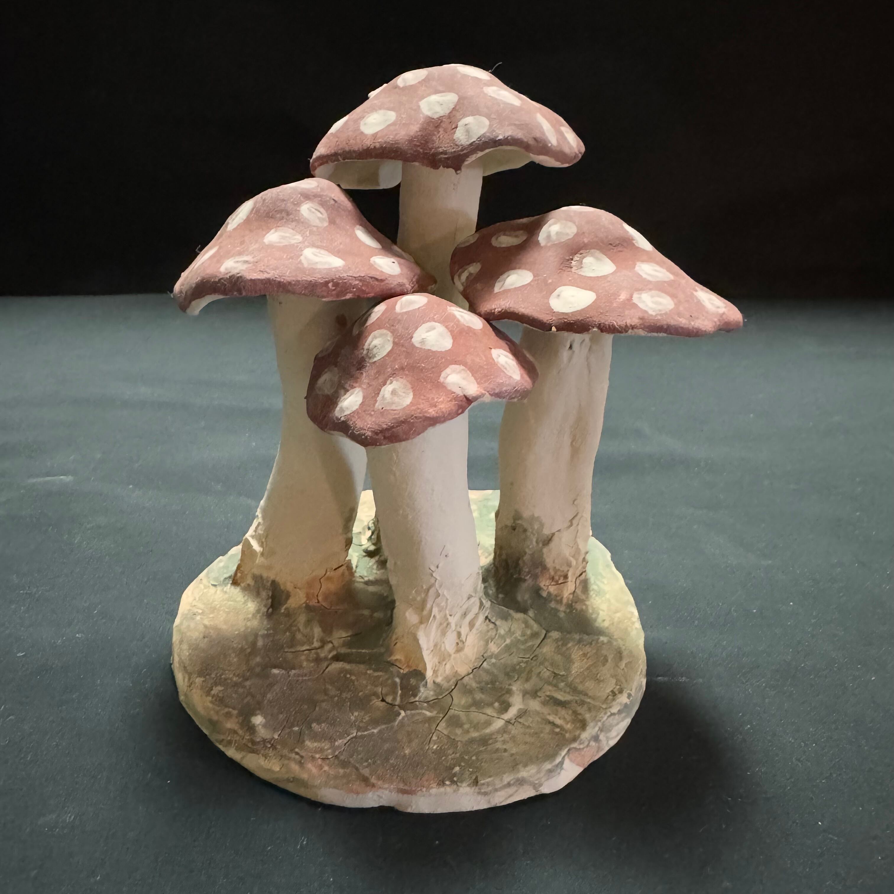 爬虫類用品 | ガラダ堂 garadadou