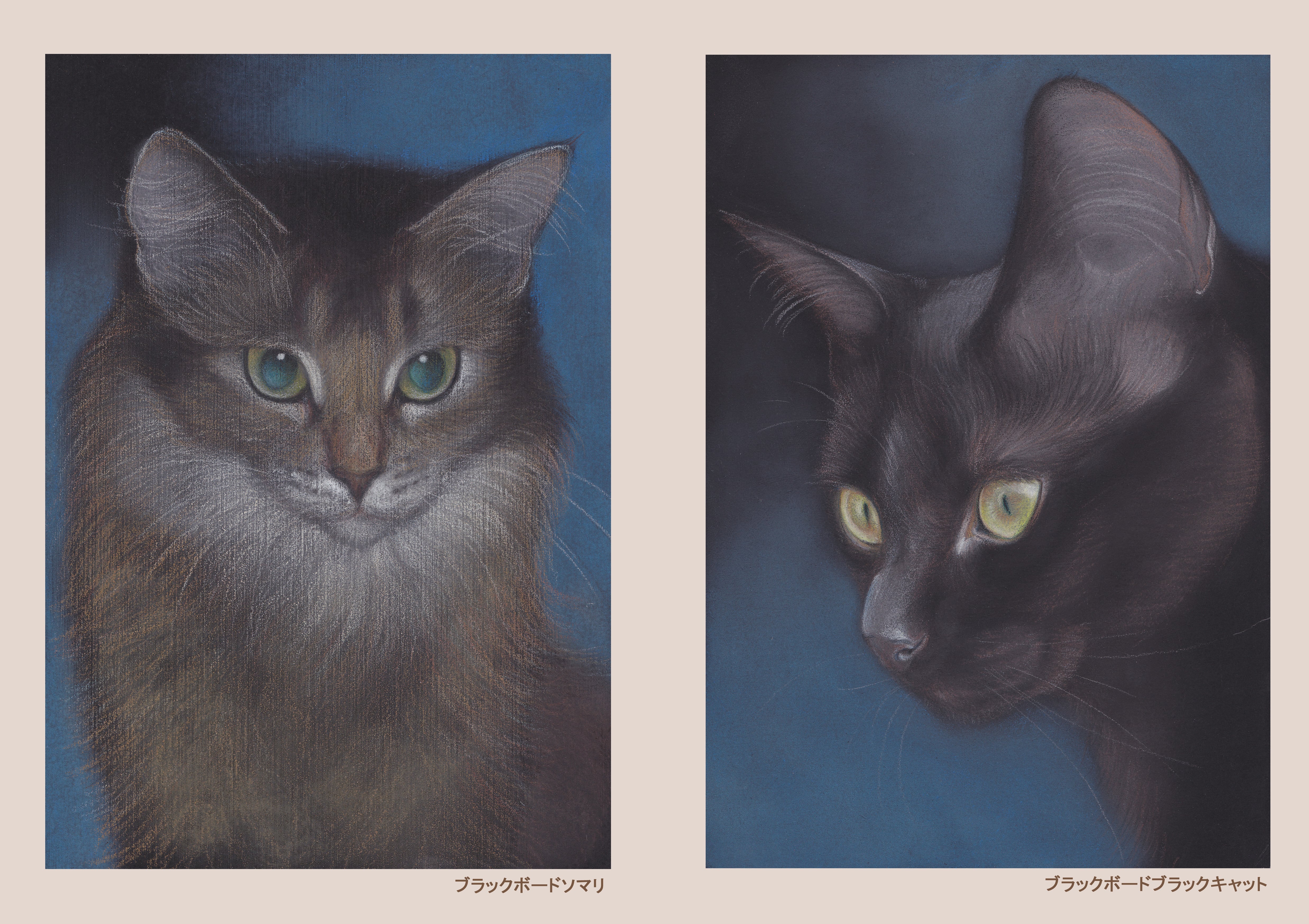 目羅健嗣猫絵画アーカイブ2004-2012 | アトリエマウリ