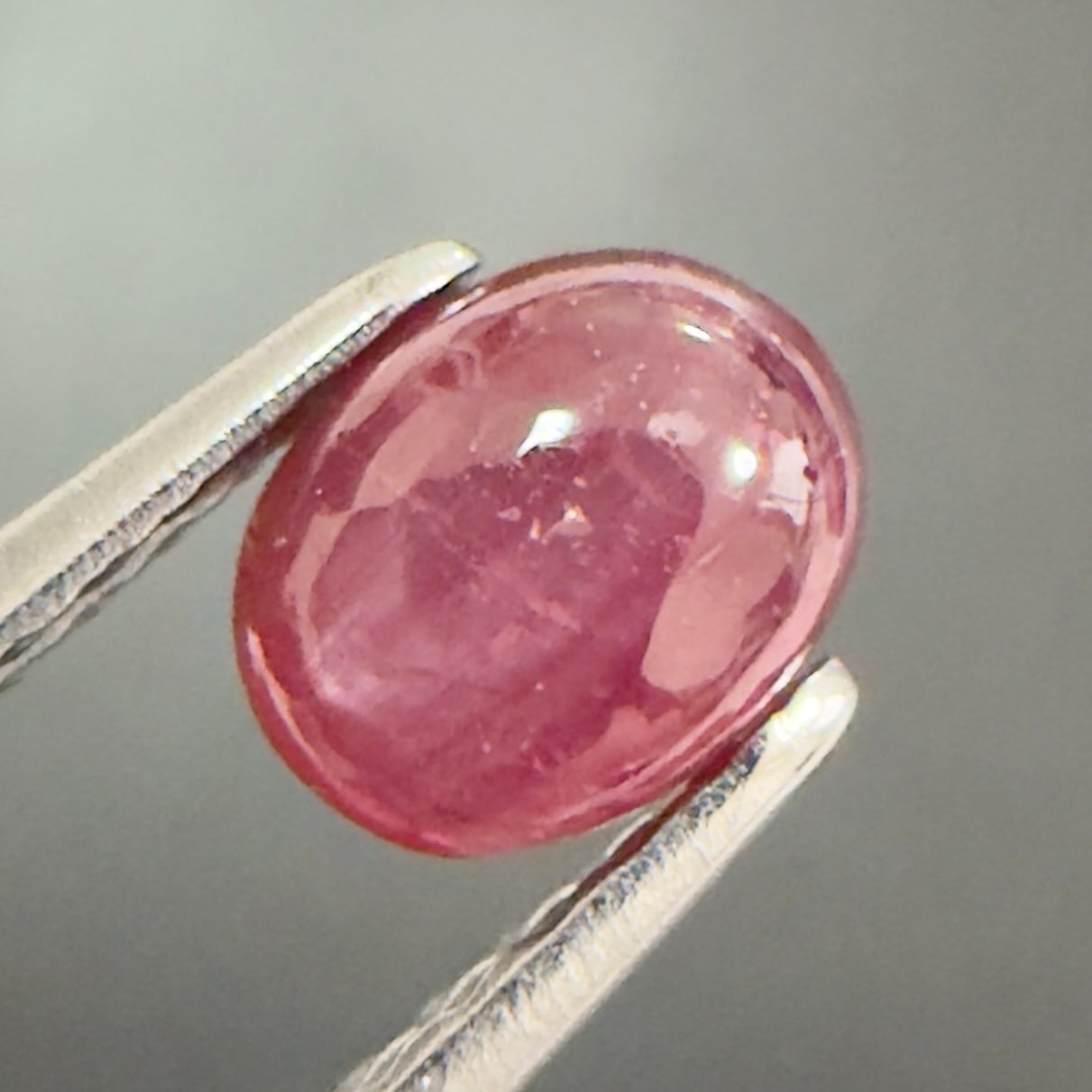 スタールビー ルース スタールビー】 ルース 0.71ct | たからいしルース オンラインショップ