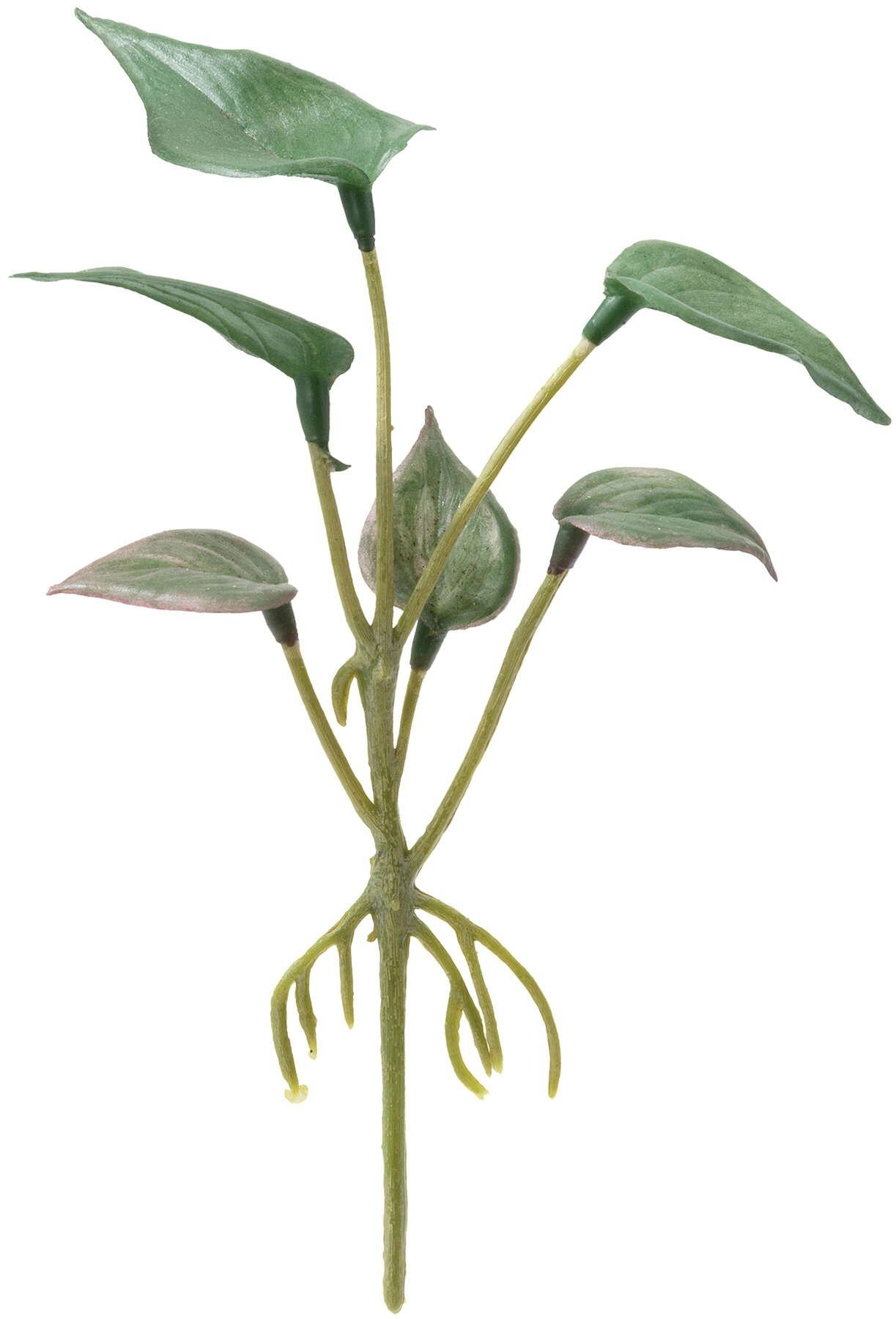 ミニオキシカルジウムピック３Ｐ　　FG-5079GR　4961823702754　造花（アーティフィシャルフラワー） > 定番造花グリーン（素材）