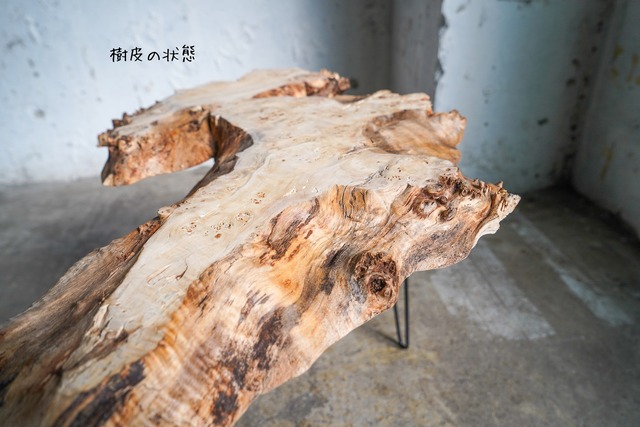 ポプラ瘤のローテーブル （高さ・カラー変更無料）