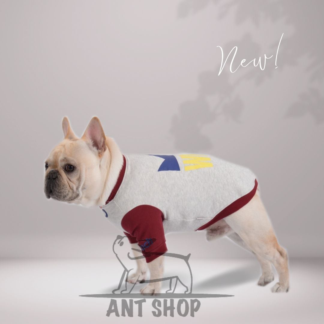 no.  1511  ハンドメイド  犬服 no. 1511 ハンドメイド 犬服