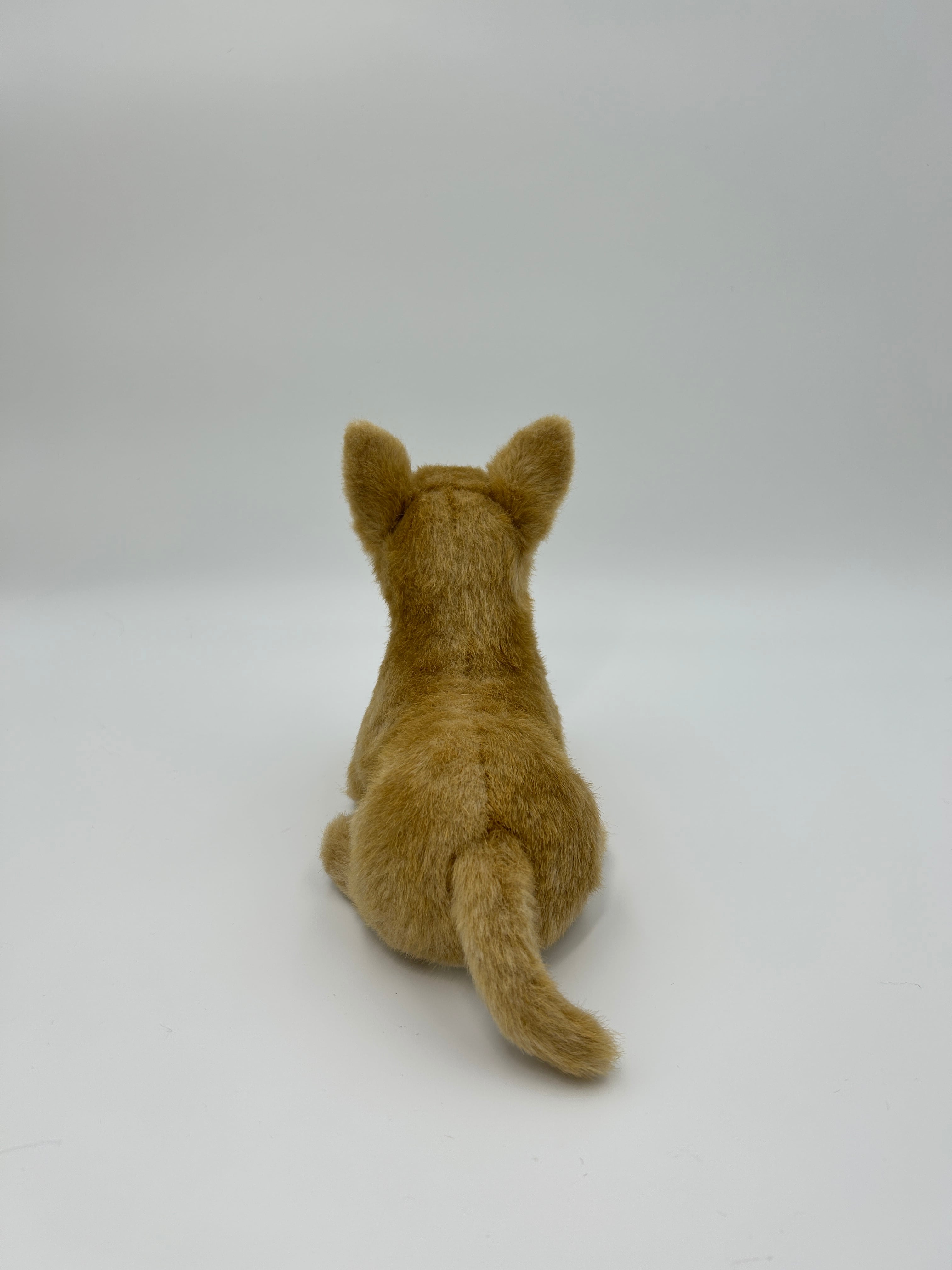 チワワ ショートヘア ブラウン＆ホワイト＊ミニチュア | うちの