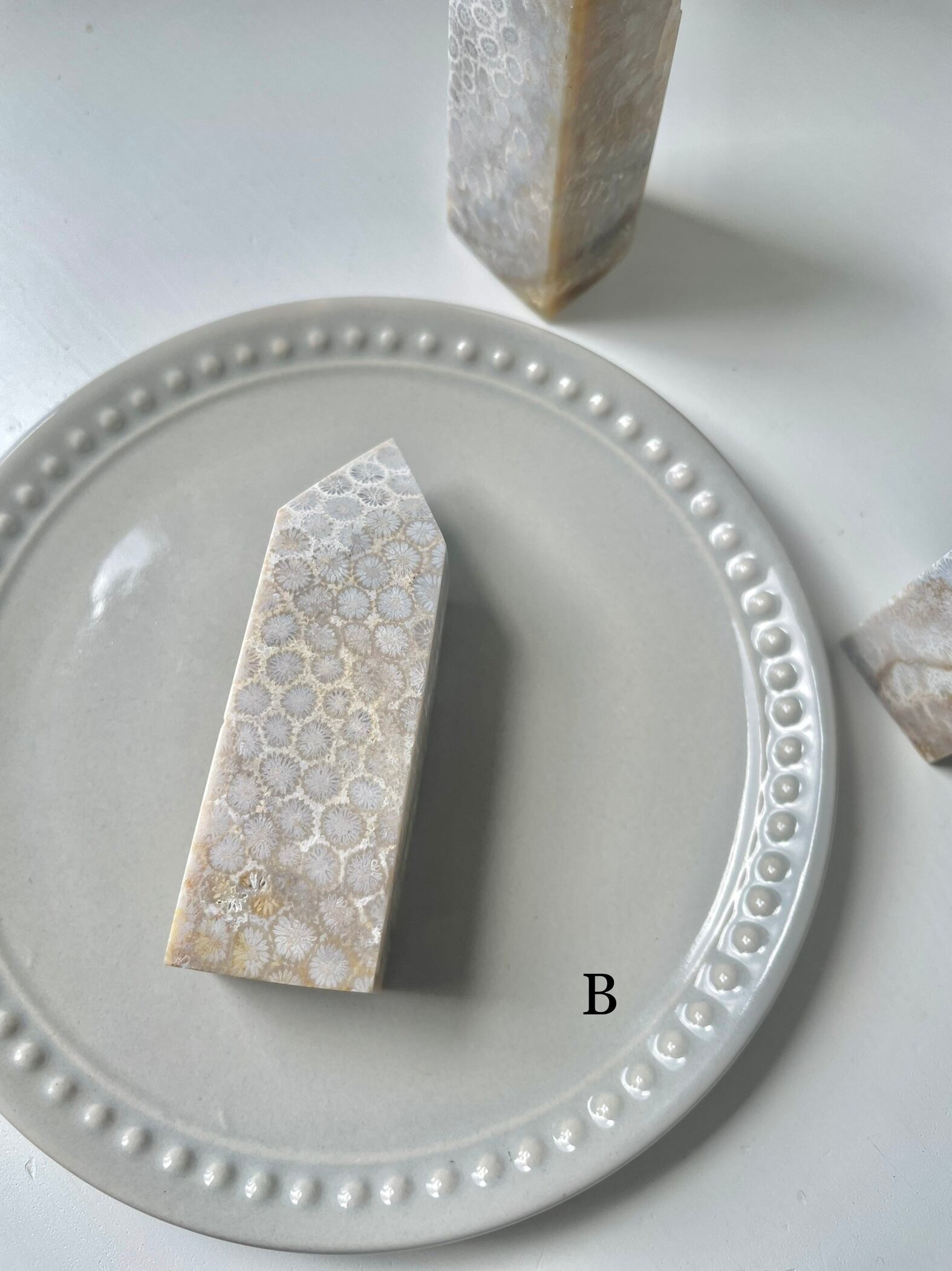 Fossil Coral Tower / フォッシルコーラル　タワー