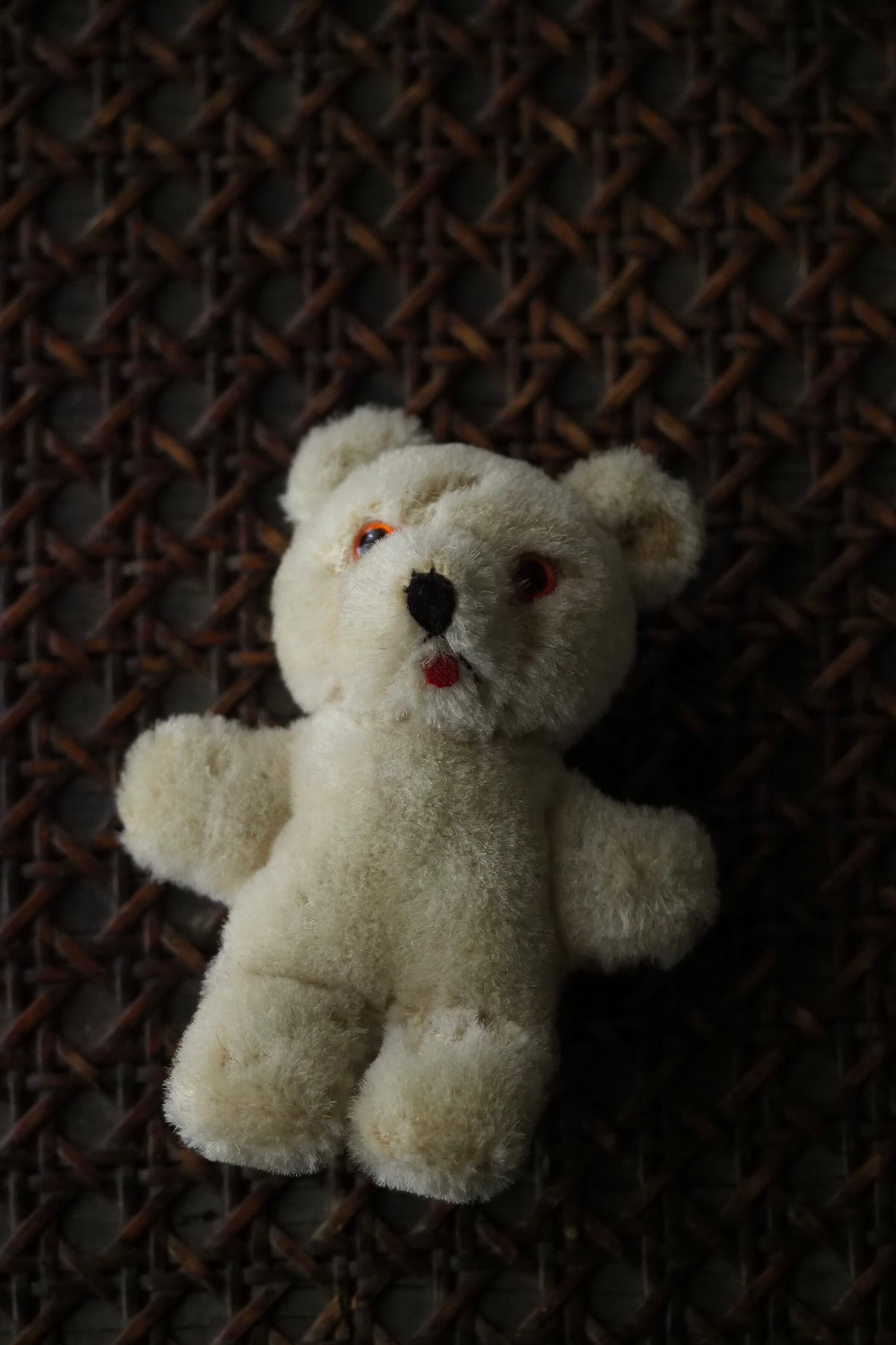 ミニマルなシロクマ-vintage teddy bear | アンティーク.ヴィンテージ