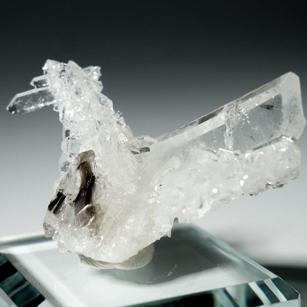 パキスタン産 水晶 クリアクォーツ/ 原石 標本【1】