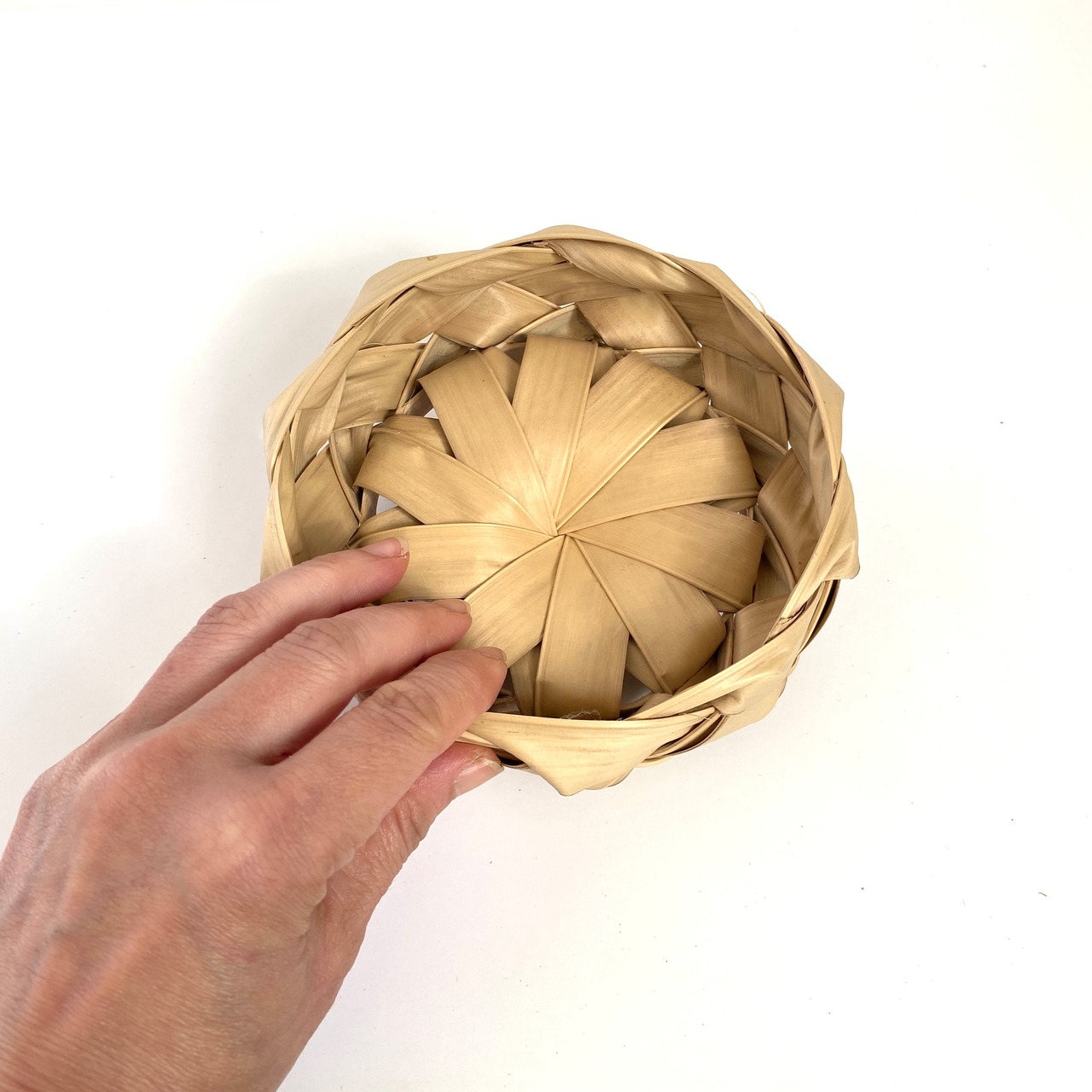 ババス椰子 籠 浅型 SS