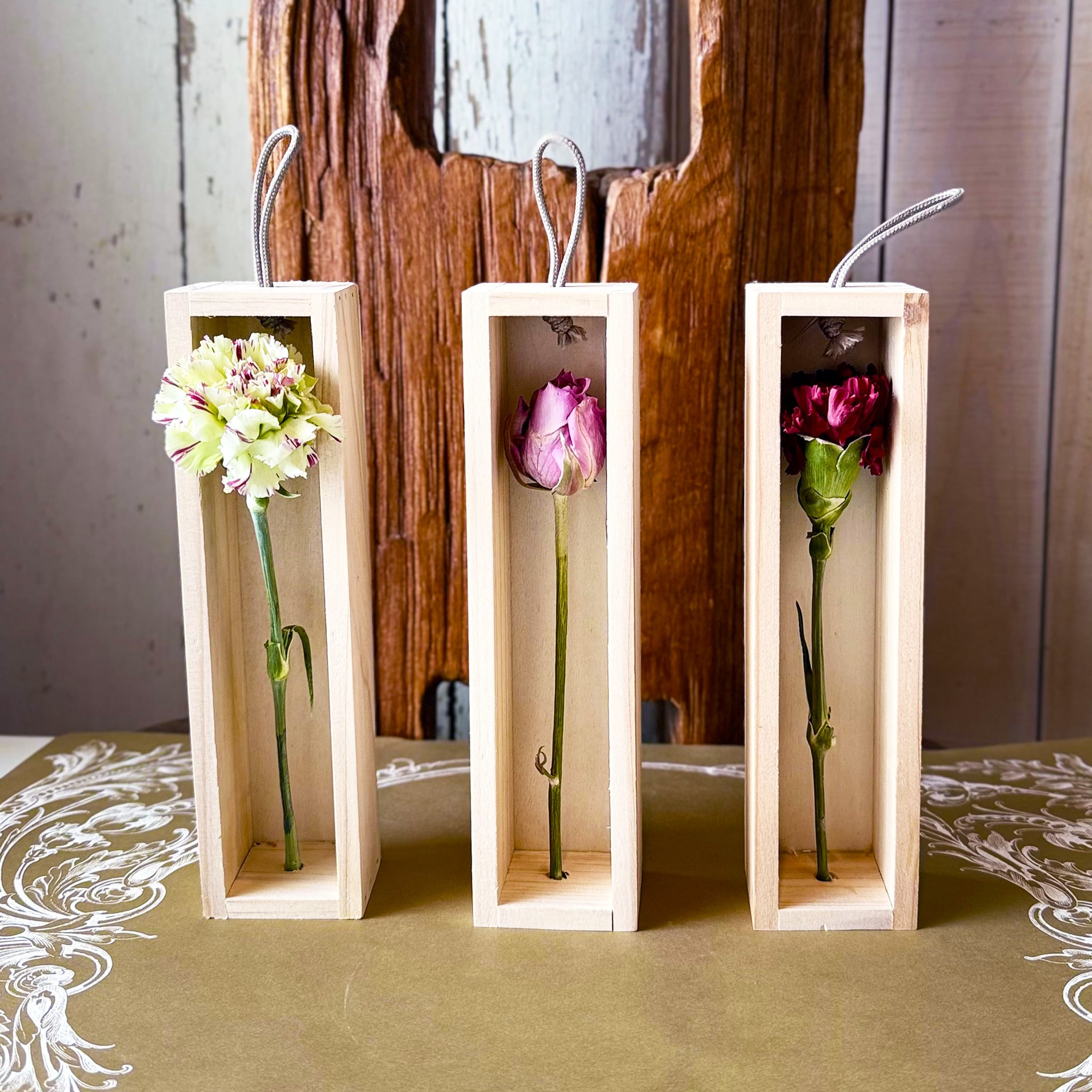 植物標本「花いちりん」S ゼロフラワーフリーズドライフラワー