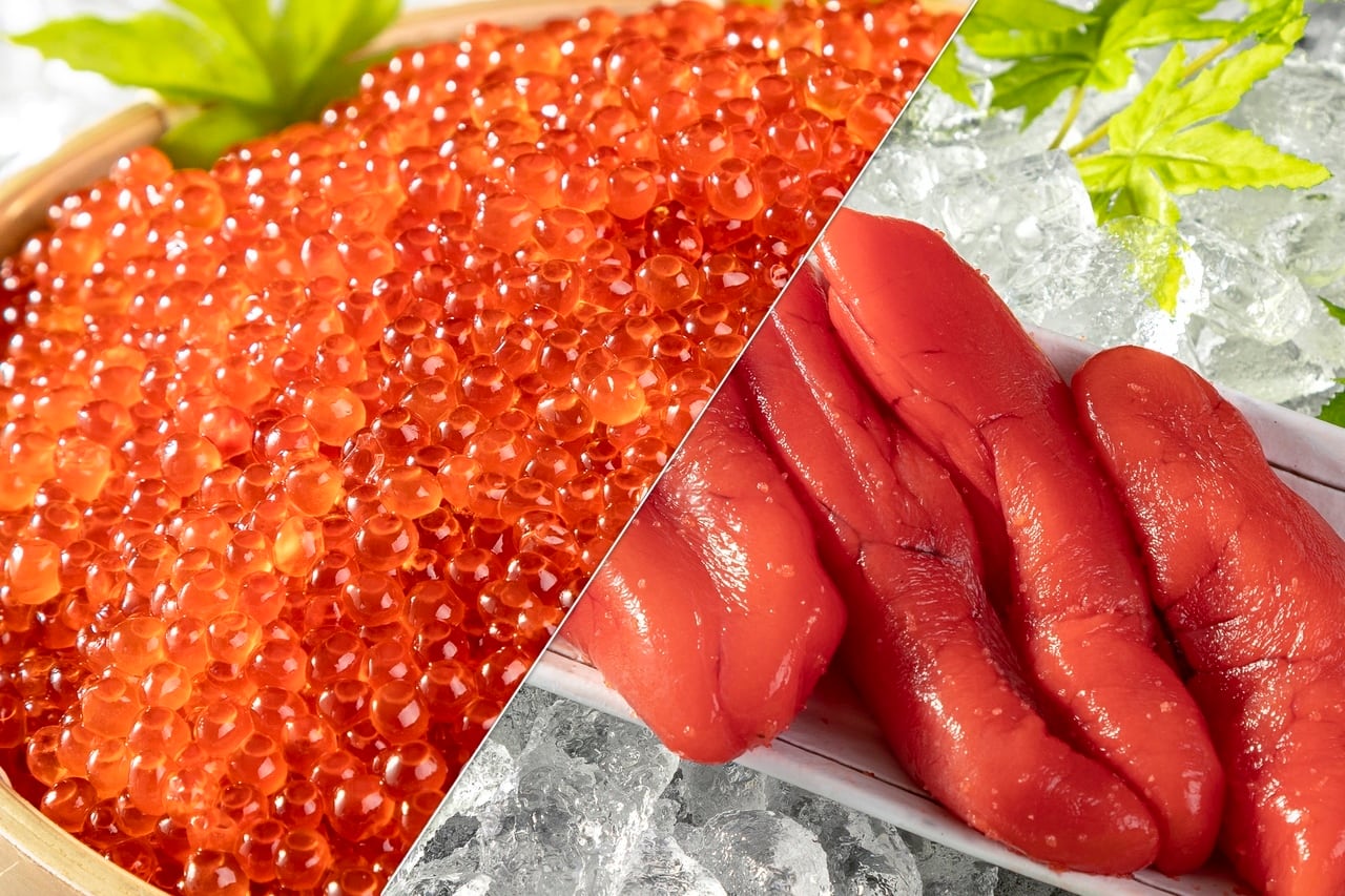 吉浜乾鮑【20g～】最高級純国産干しあわび(キッピンカンポウ)※即納