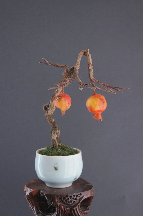 盆栽 ザクロ Pomegranate Bonsai #83