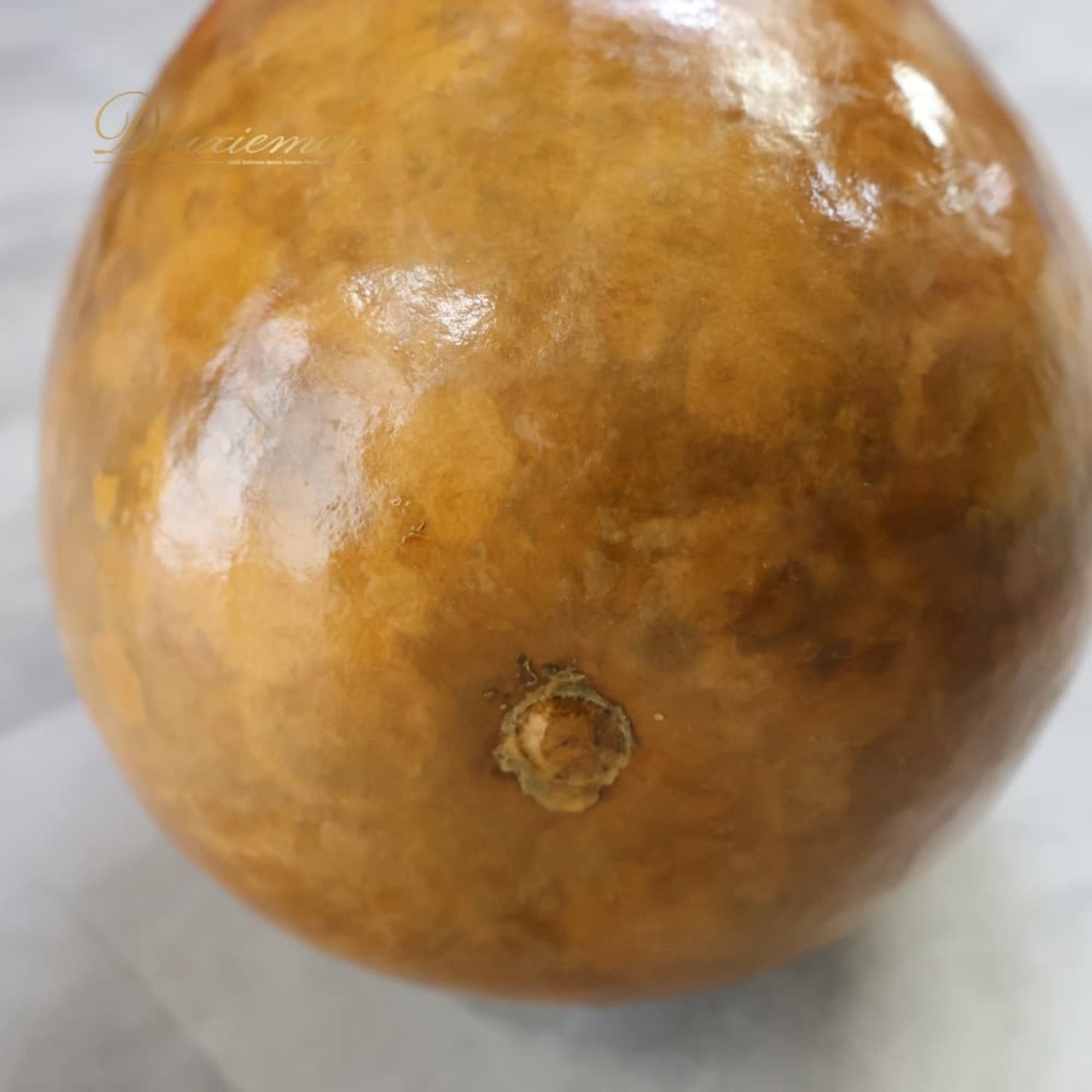 フラダンス 小物 イプヘケ 約56cm ブラウン系 イプ ひょうたん 楽器 小物 小道具 茶 黄 明るい 光沢 艶 タヒチアン タヒチ 練習 レッスン 舞台 ステージ イベント 音楽 ハワイアン アロハ ダンス小物 ハイビスカス柄 花柄 イエロー系