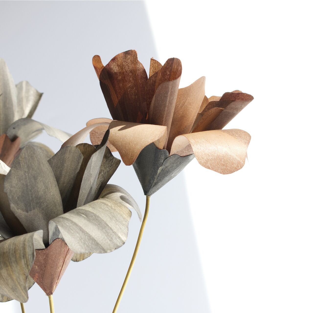 Wood Aroma Flower (Bark Brown+Sumi Black) / 木の花のアロマ