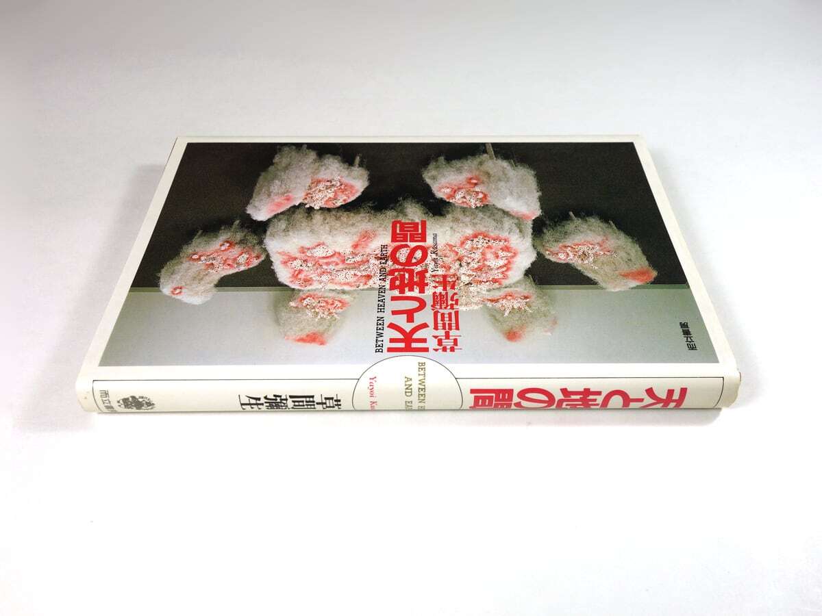 天と地の間（草間彌生 著） | bookstore ナルダ
