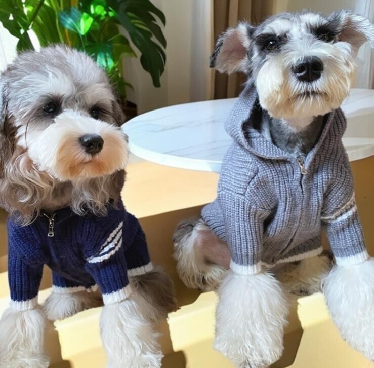 《予約》№1103014 ニットパーカー