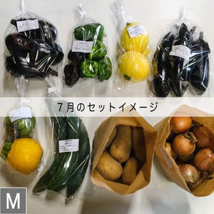 無農薬野菜 ［M］セット　-定期１週１回- 　お届け曜日 (火) (土)