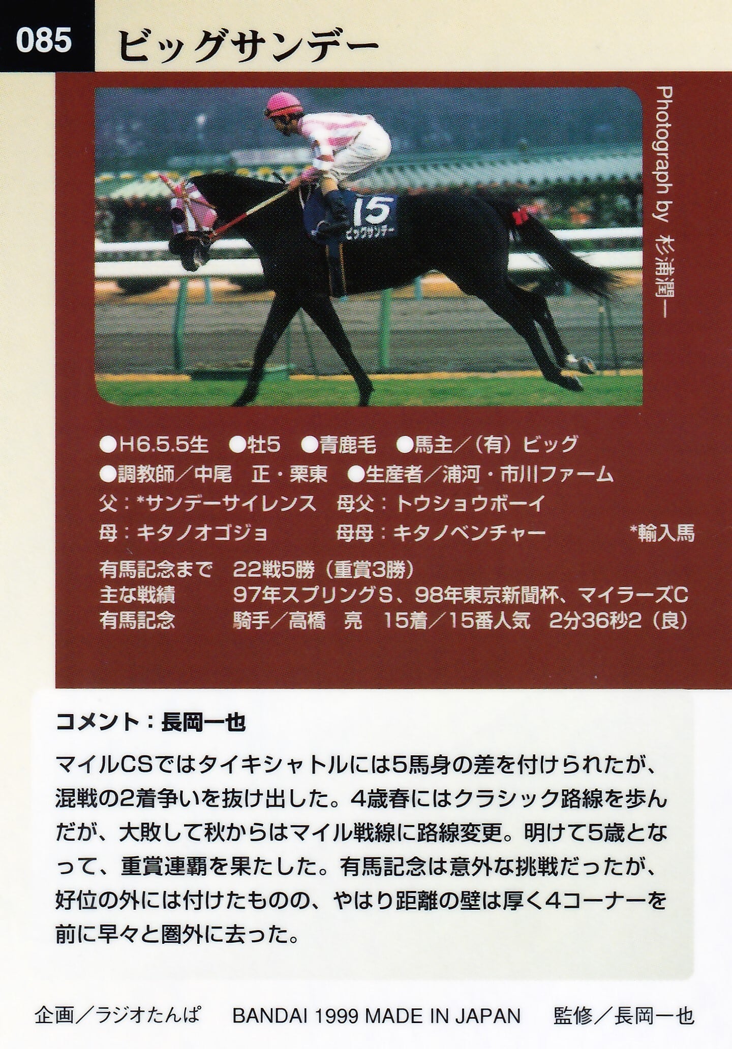 ビッグサンデー：第43回 有馬記念出走馬「サラブレッドカード 98年