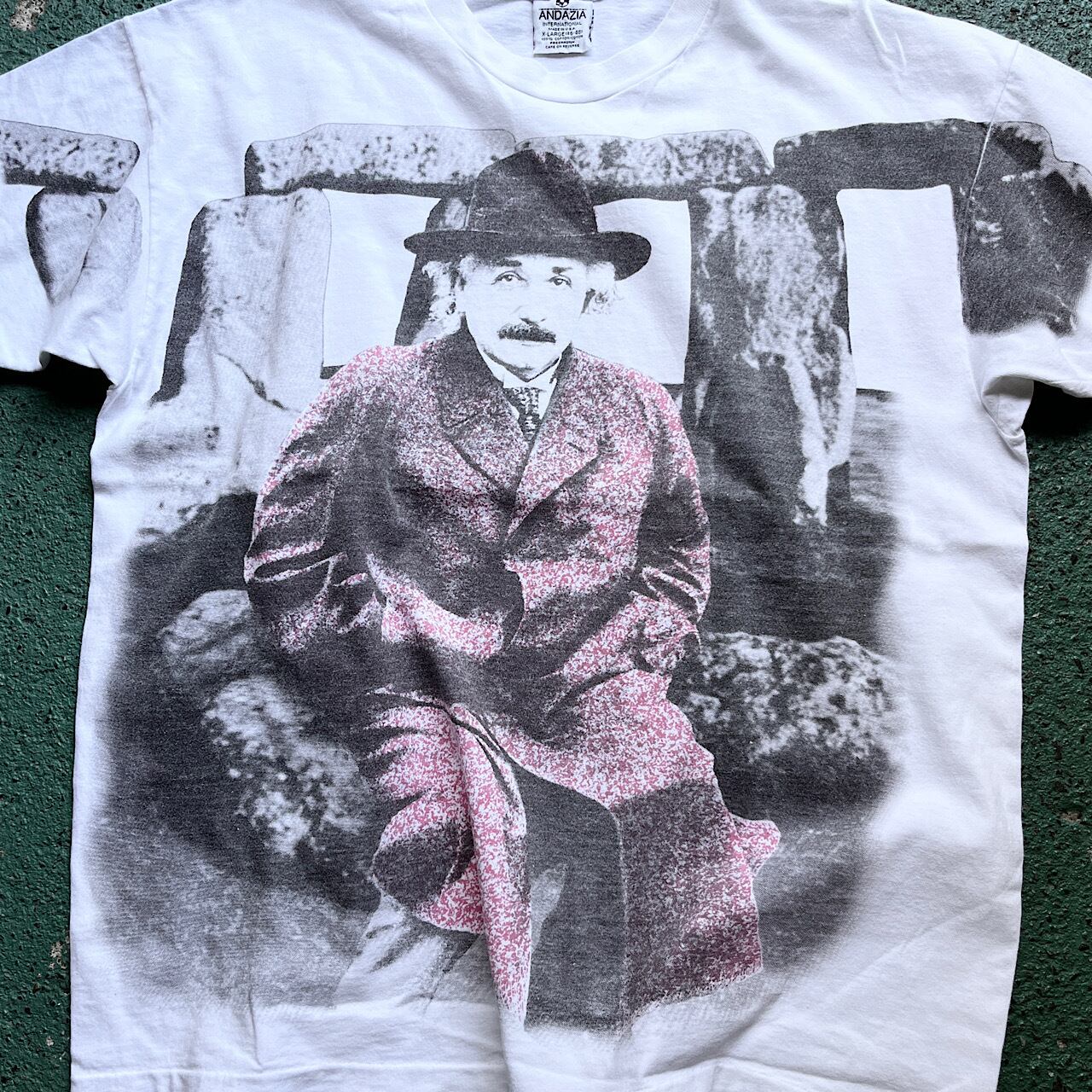 90年代 アルベルト・アインシュタイン Albert Einstein オールオーバー 