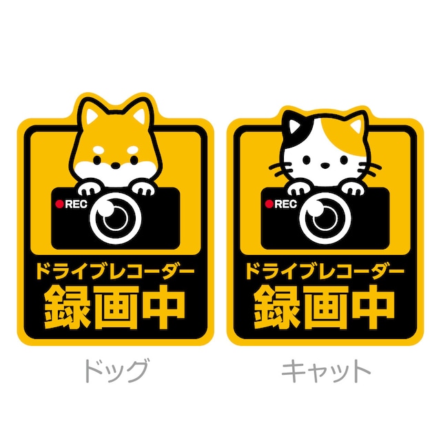 【14×約16cm車用マグネット】ドラレコ録画中 ドッグ・キャット