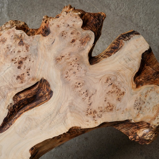 白いポプラのローテーブル