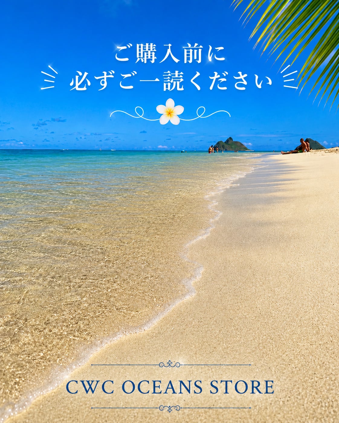 ※ご購入前に必読ください