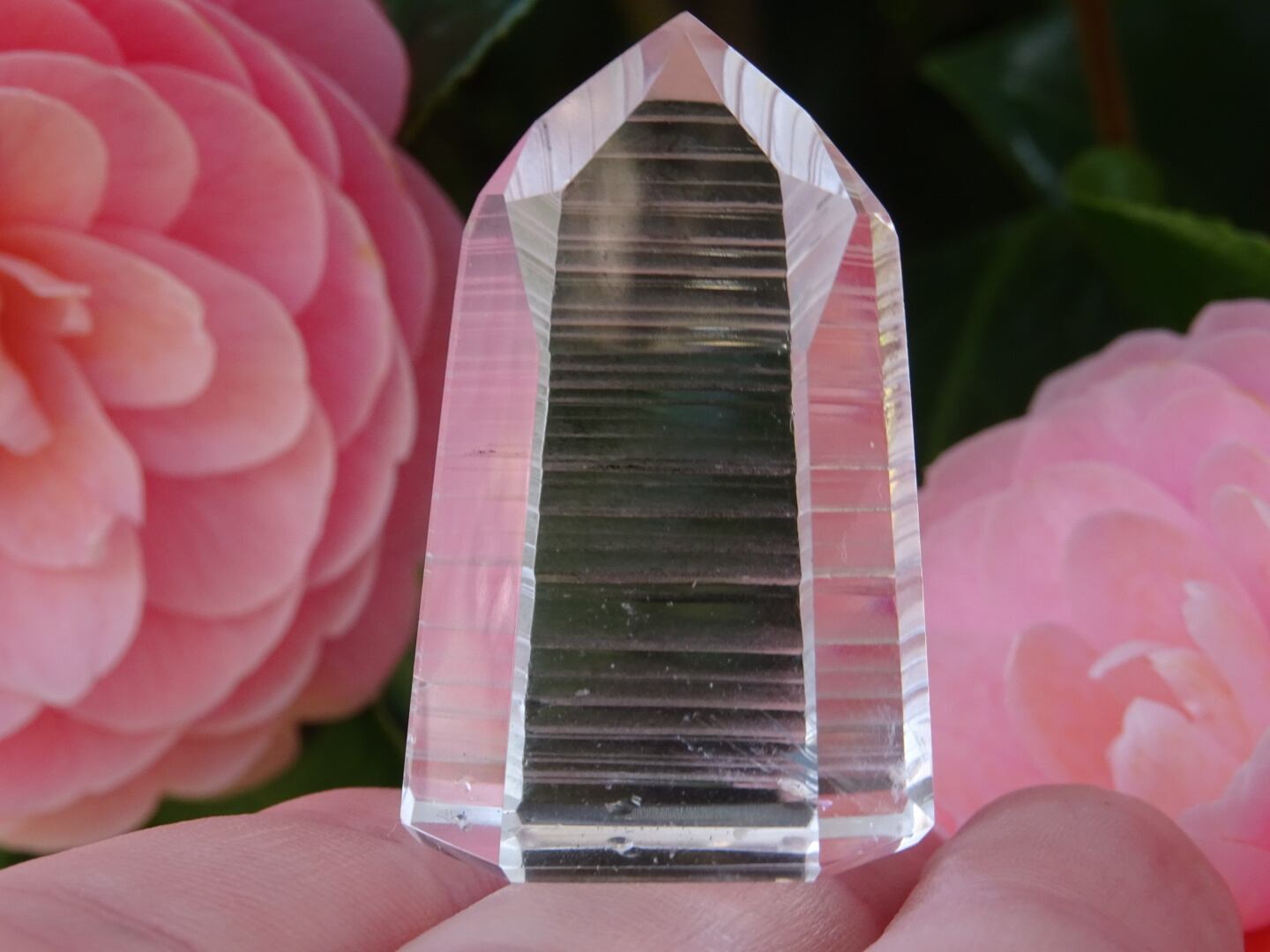 ピュアレイ(レムリアンシードクリスタル、ダウ、High Quality) ~Inner Sanctuary~