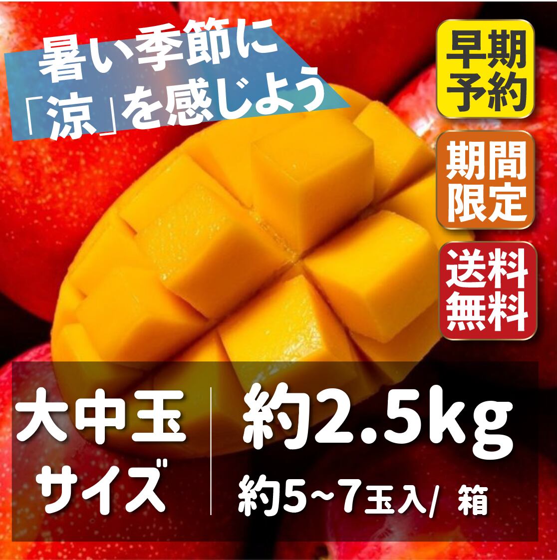 第三弾【配送期間 7月13日~7月29日】台湾マンゴー ｜約2.5kg： 5~7玉 