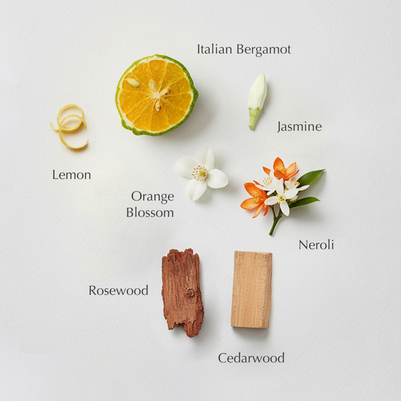 スーラ フレグランスキャンドル