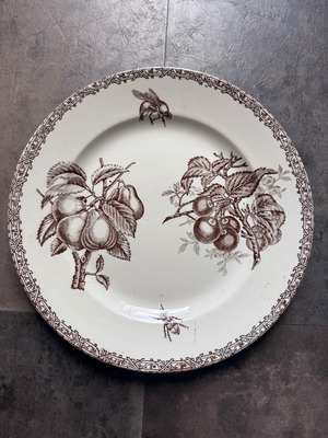 ショワジールロワ　ディナープレート