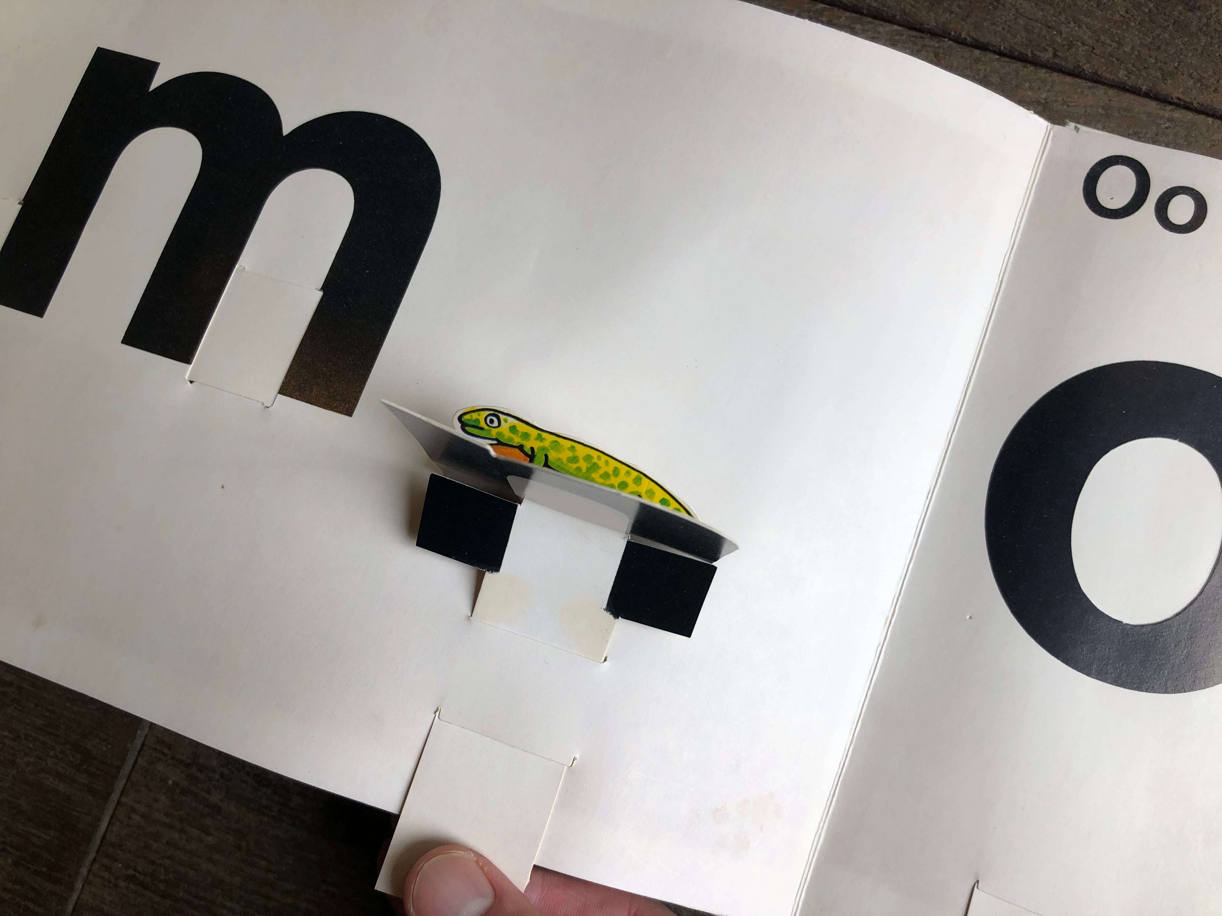 THE MOST AMAZING HIDE & SEEK ALPHABET BOOK | maintent