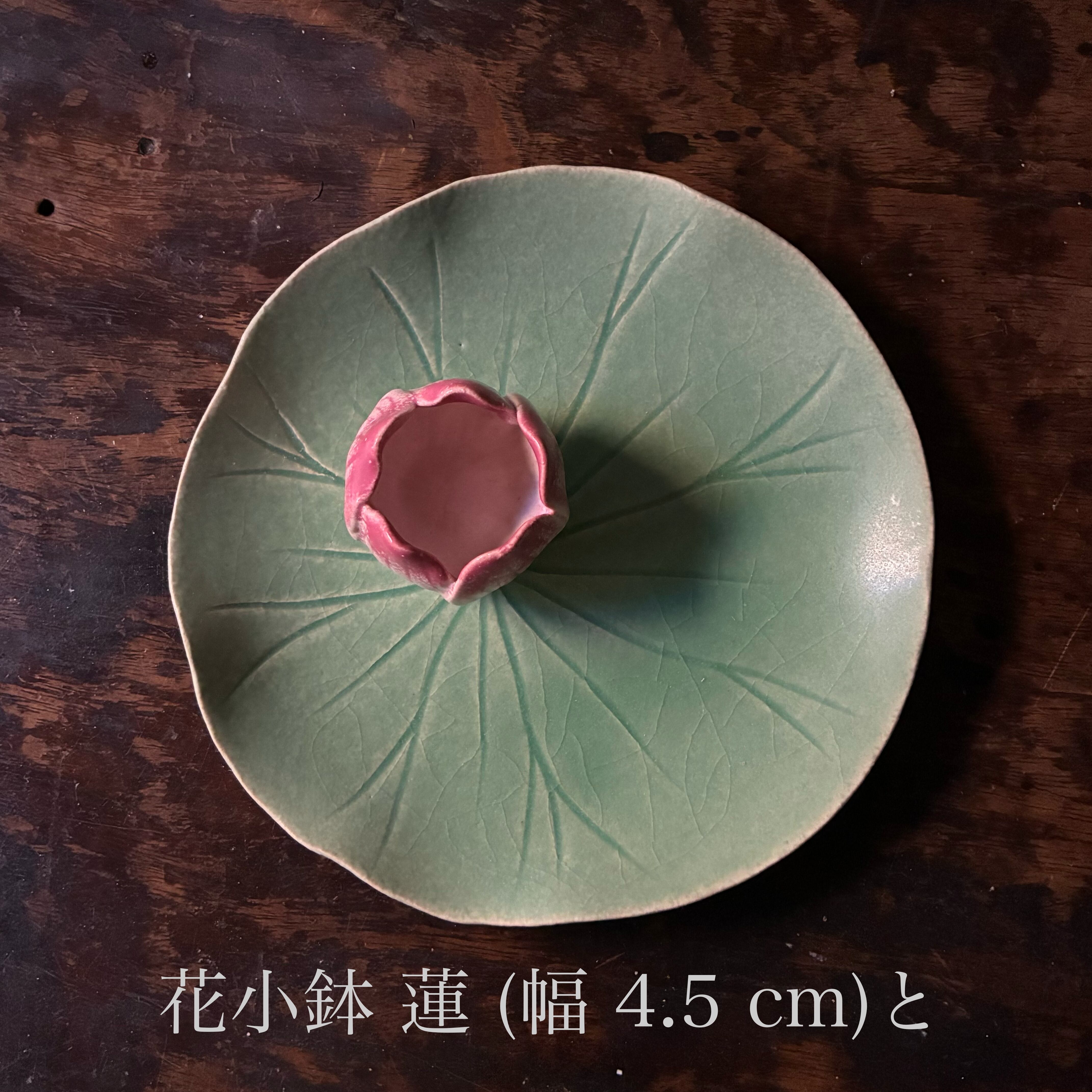 25夏】Lotus 蓮の葉取皿 (幅 16 cm) | TSUNE;田中恒子の器 オンライン