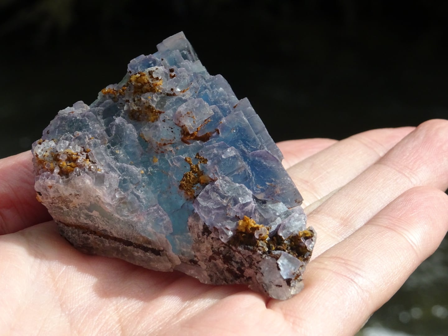 ブラックフォレスト・カラーチェンジフローライト」 パープル＆ブルー