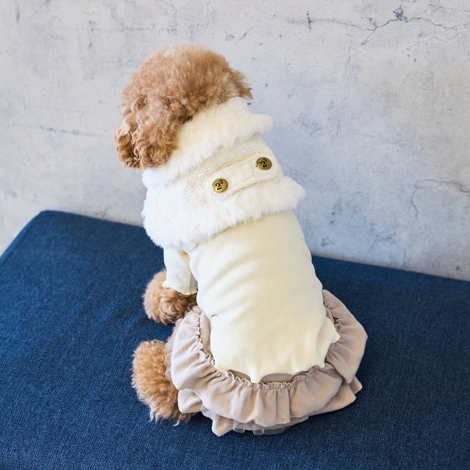 252514］ケープ | 犬服ブランド 2e deuxieme cale | おしゃれなドッグ